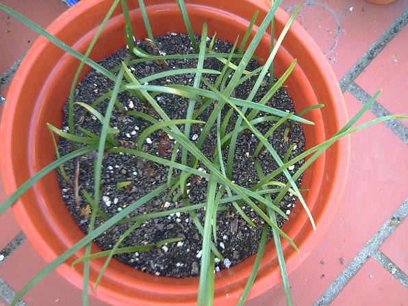 PICT0129.JPG