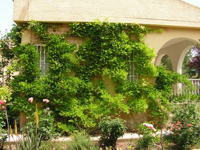 PICT0138.jpg