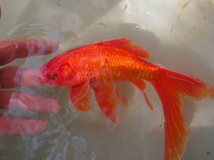 PICT0143.jpg