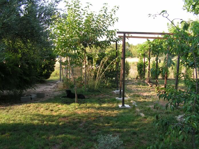 PICT0153.jpg