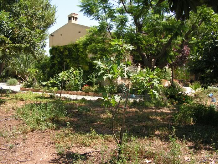 PICT0156.jpg