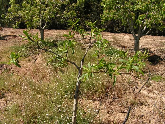 PICT0170.jpg