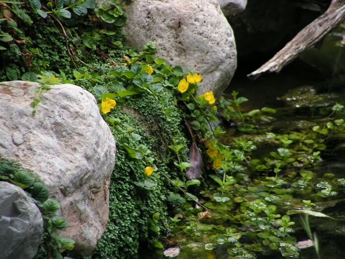 PICT0171.jpg