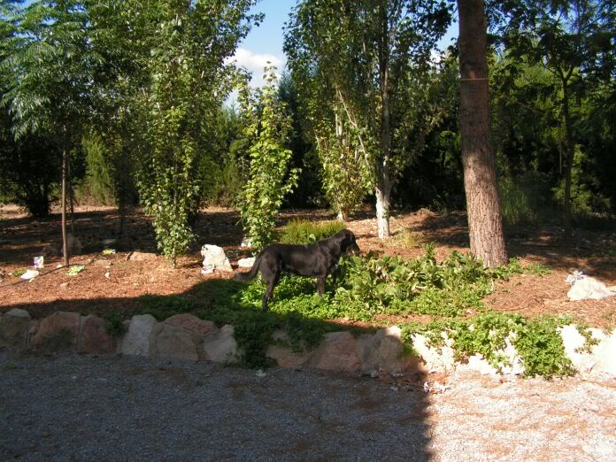 PICT0179.jpg