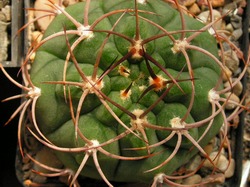 PICT0183.JPG
