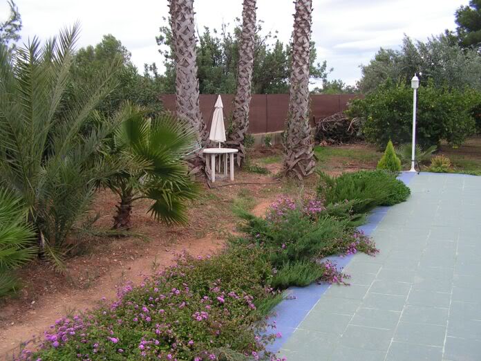 PICT0186.jpg