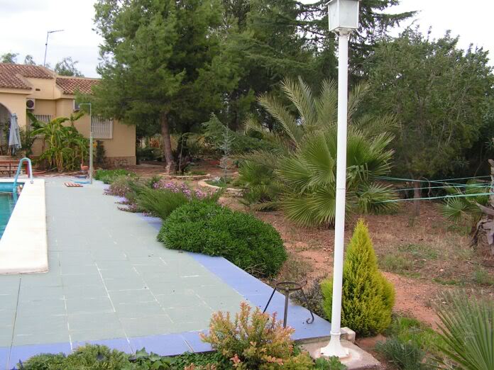 PICT0190.jpg
