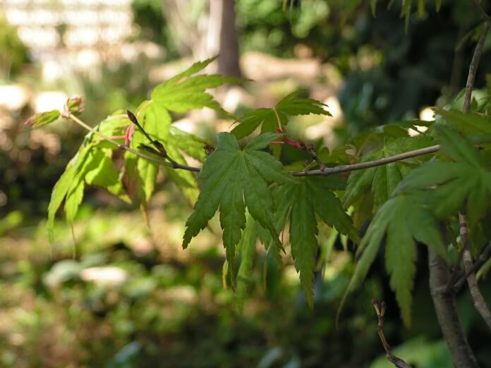 PICT0214.jpg