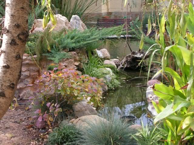 PICT0242.jpg