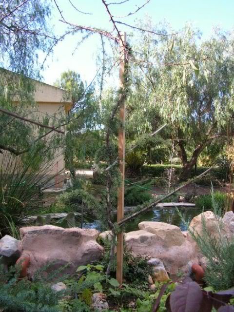 PICT0248.jpg