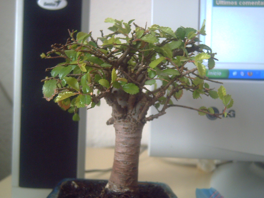 PICT0263.JPG