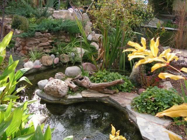 PICT0267.jpg