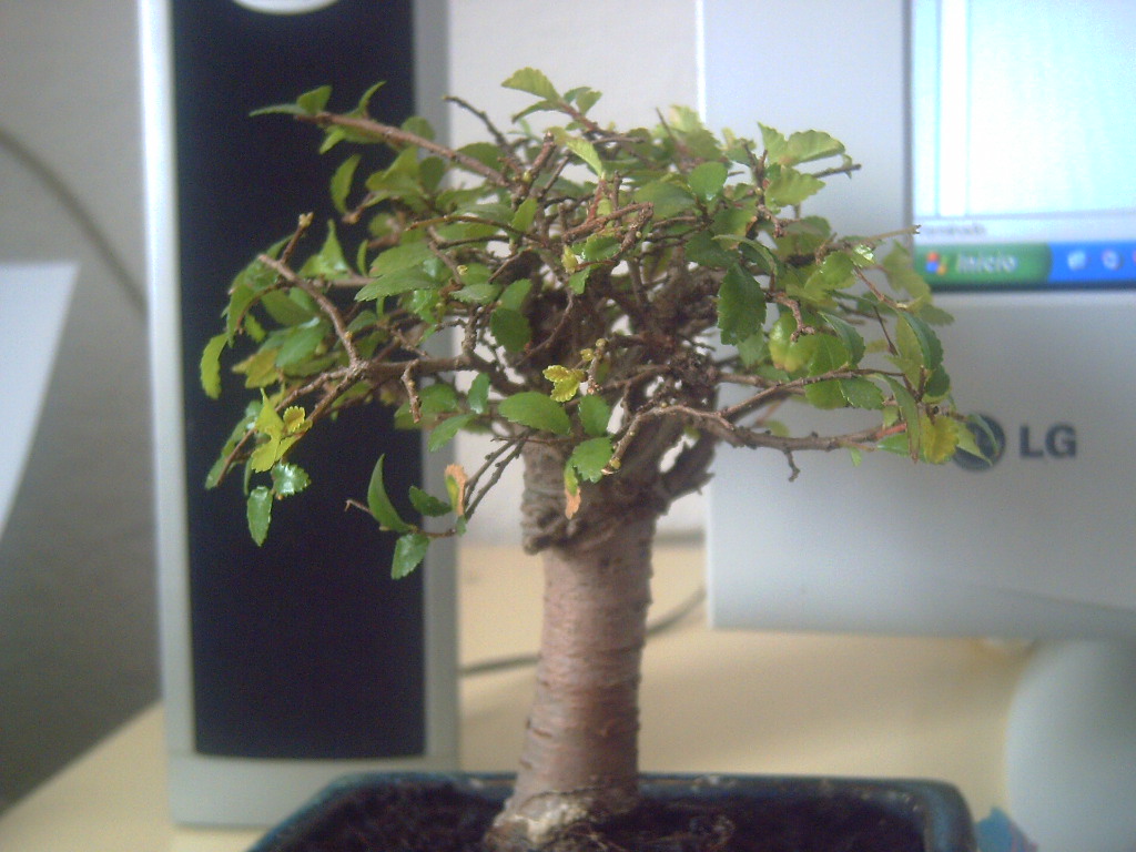 PICT0270.JPG