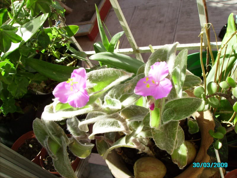 PICT0309.jpg