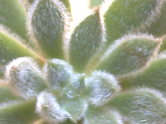PICT0318.jpg