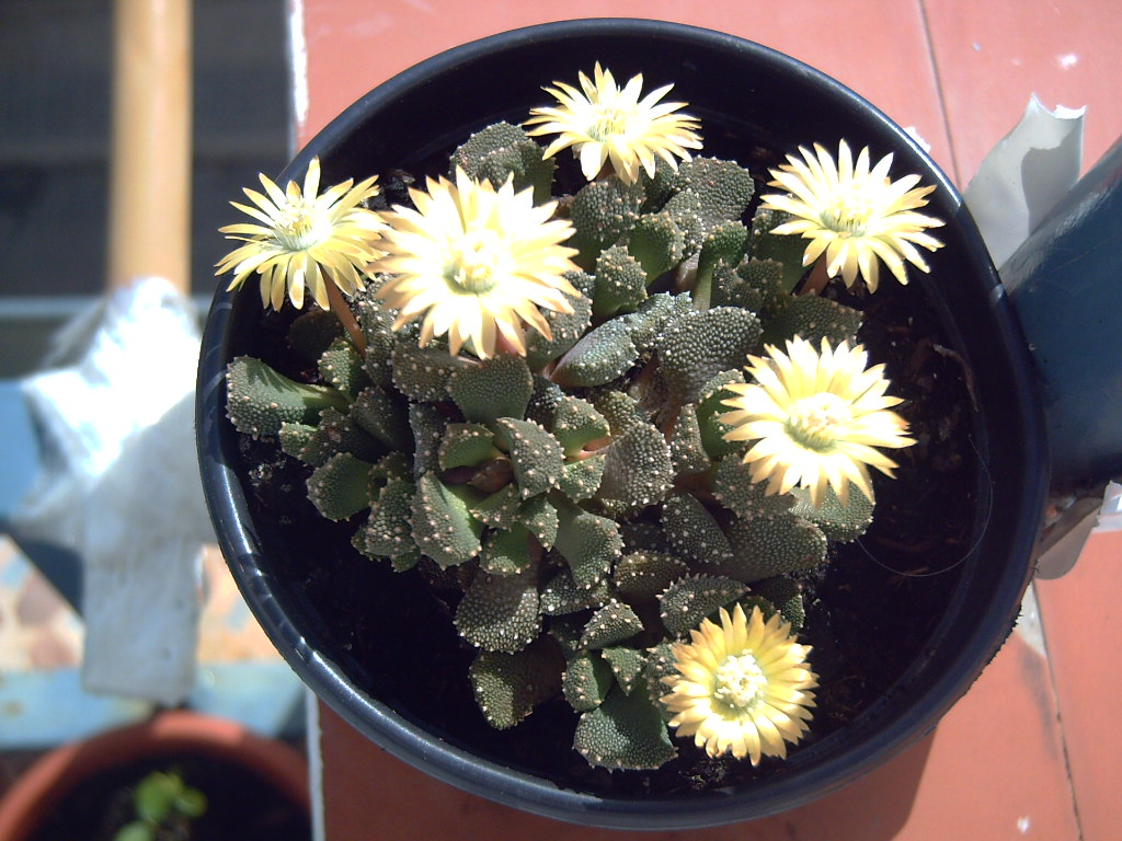 PICT0339.JPG