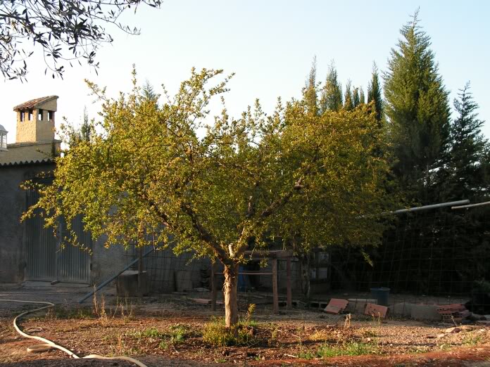 PICT0357.jpg