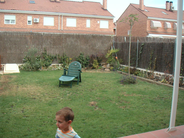 PICT0359.jpg