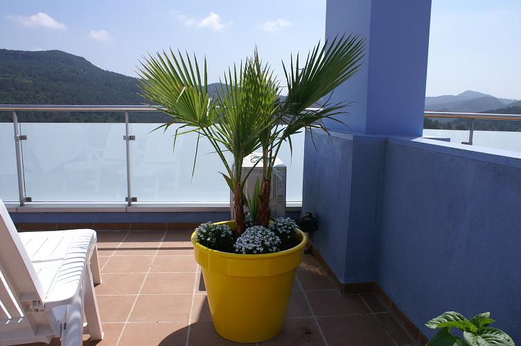 PICT0386.JPG