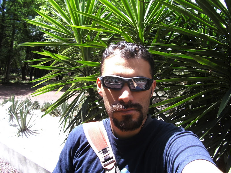 PICT0515.JPG