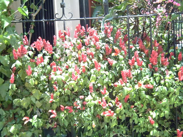 PICT0674.jpg