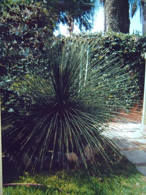 PICT0705.jpg