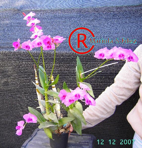 PICT1085.JPG