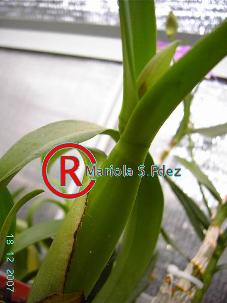 PICT1151.JPG