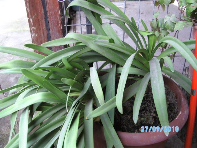 PICT1309.jpg