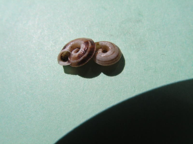 pict1511.jpg