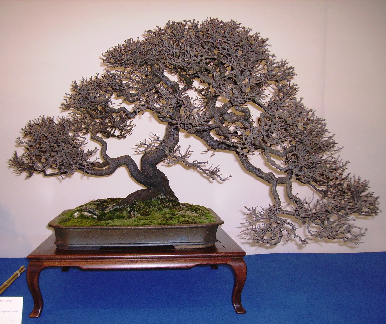 PICT1591.JPG