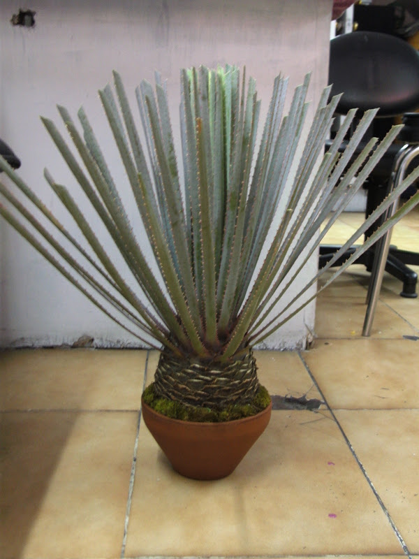 PICT2381.JPG