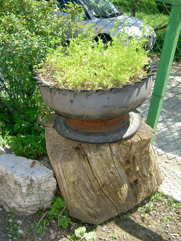 PICT3789.jpg