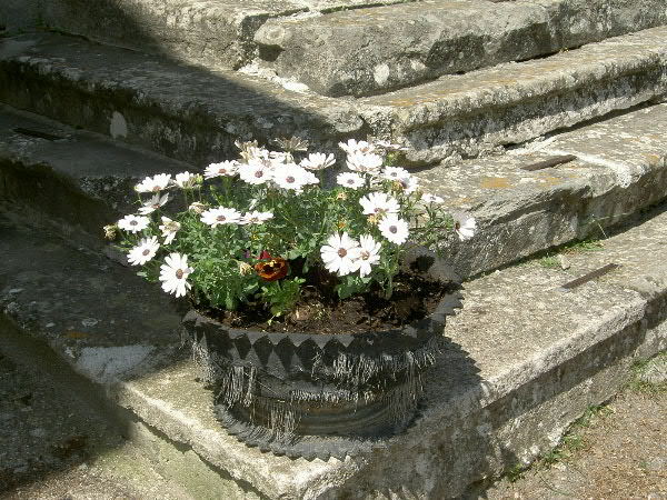 PICT3791.jpg