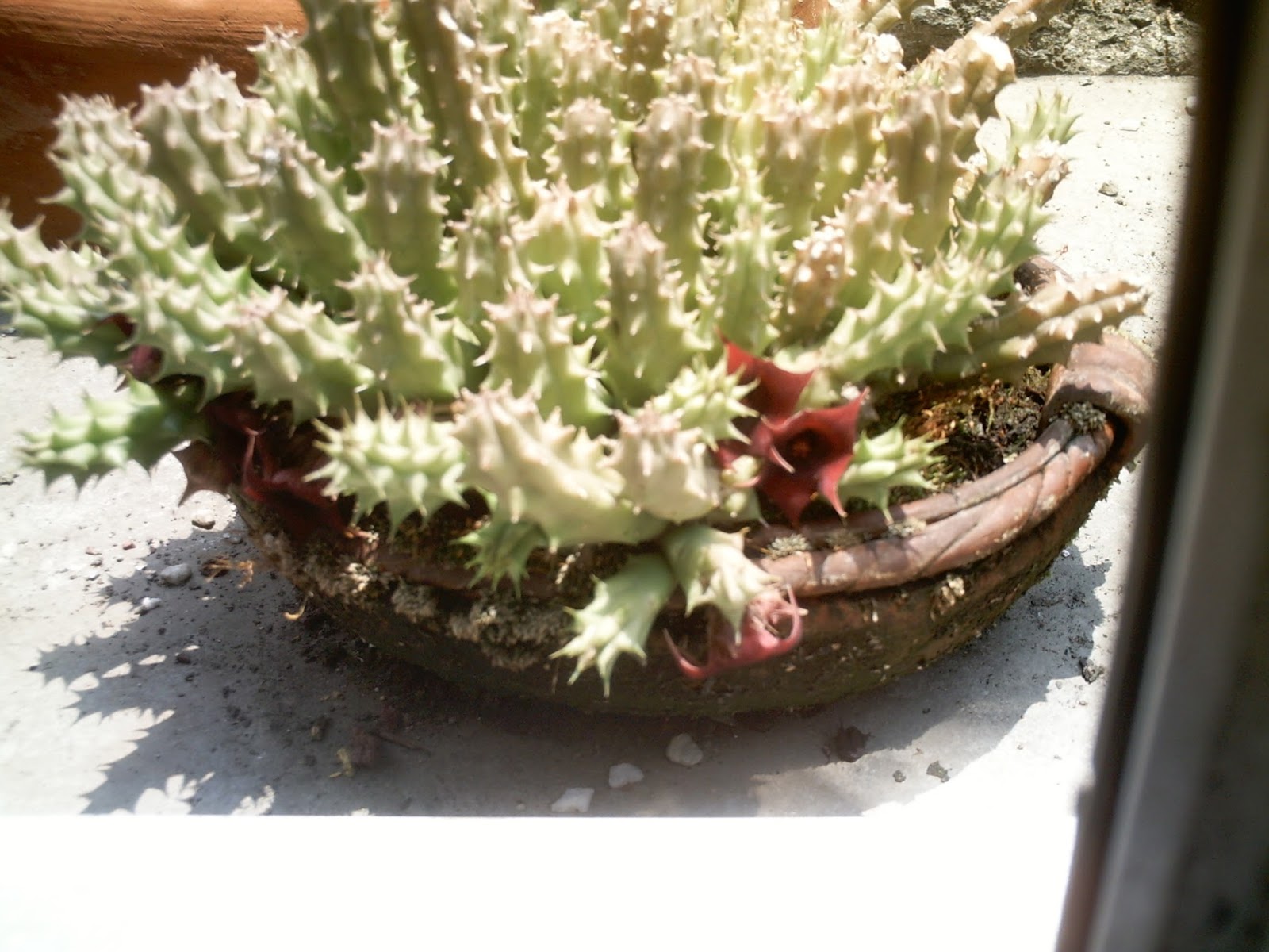 PICT4482.JPG