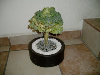 PICT4848.JPG