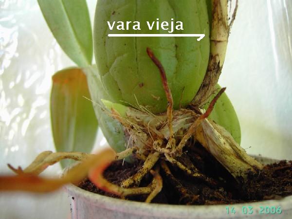 PICT6094.JPG