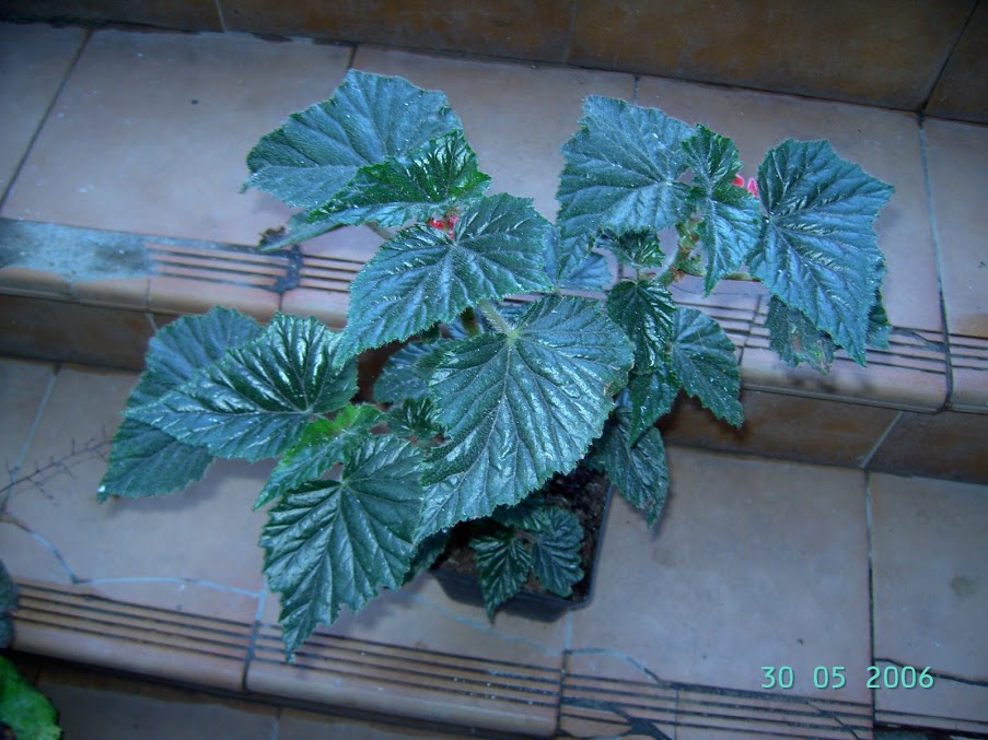 PICT6337.JPG