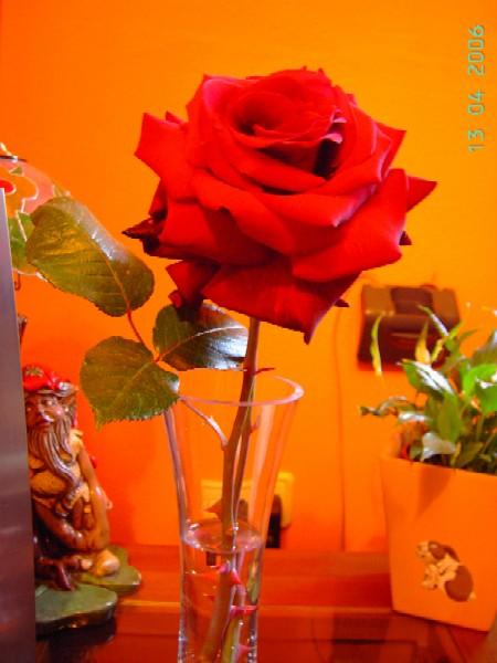 PICT6652.JPG