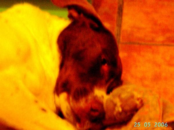 PICT7213.JPG