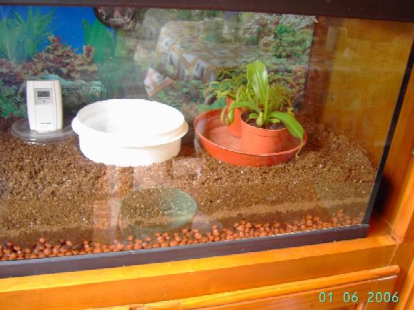 PICT7319.JPG