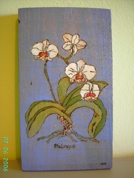 PICT7330.JPG
