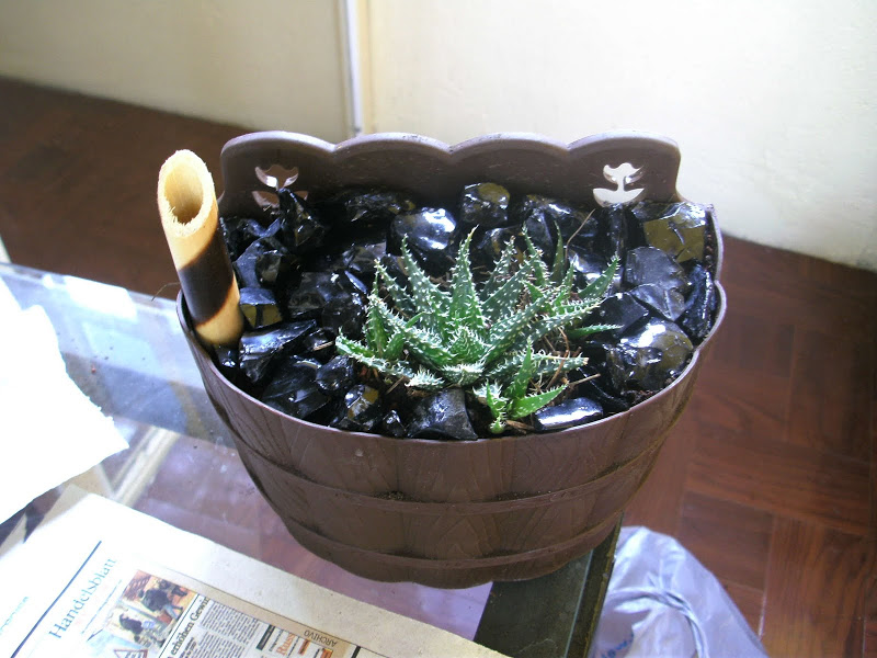 PICT8398.JPG