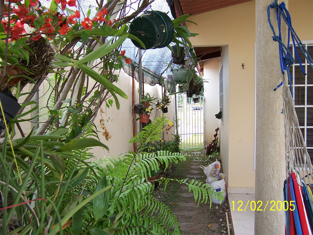 Picture-007.jpg