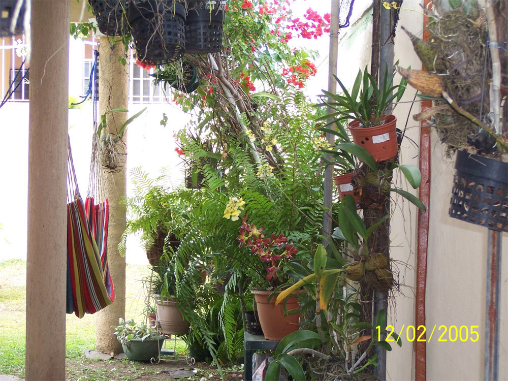 Picture-008.jpg