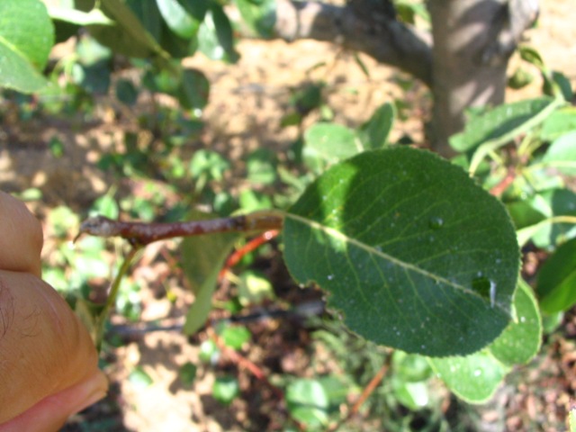 Picture%20068_reducida.jpg