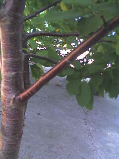 picture009.jpg