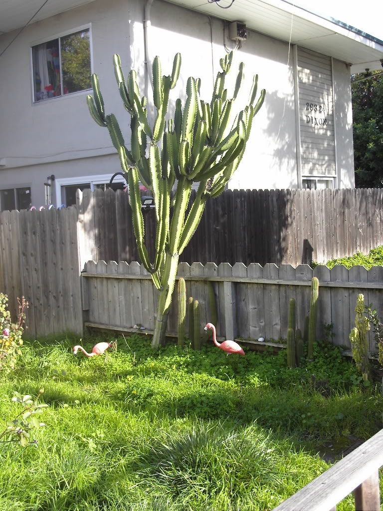 Picture1499.jpg