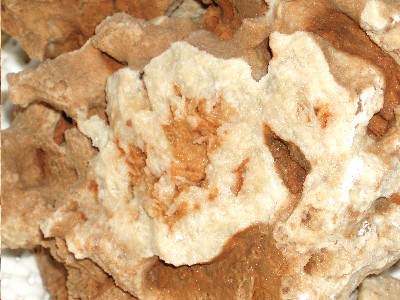 piedra_cantera2.JPG