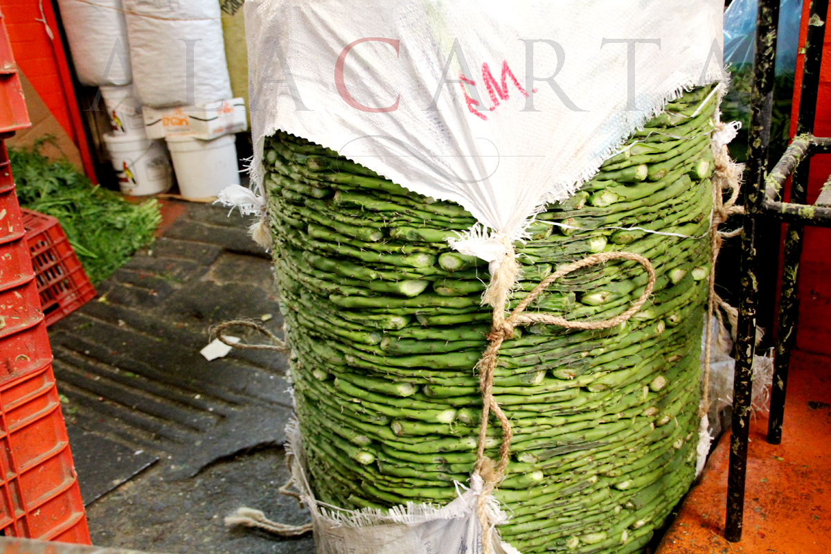Pila-de-Nopales.jpg